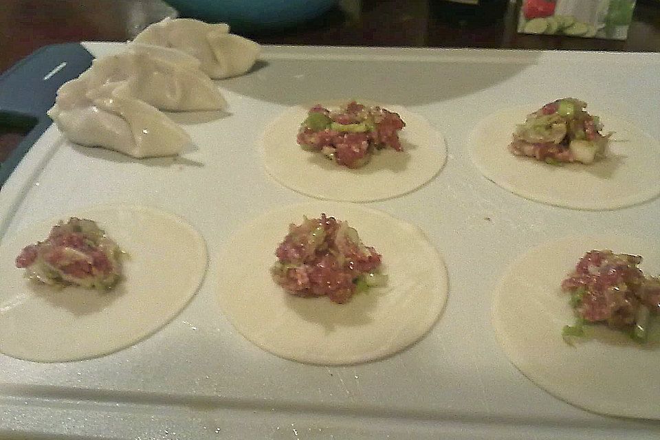 Gyoza