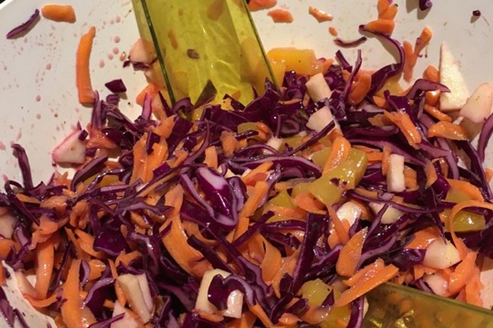 Fruchtiger Rotkohl - Möhren - Salat