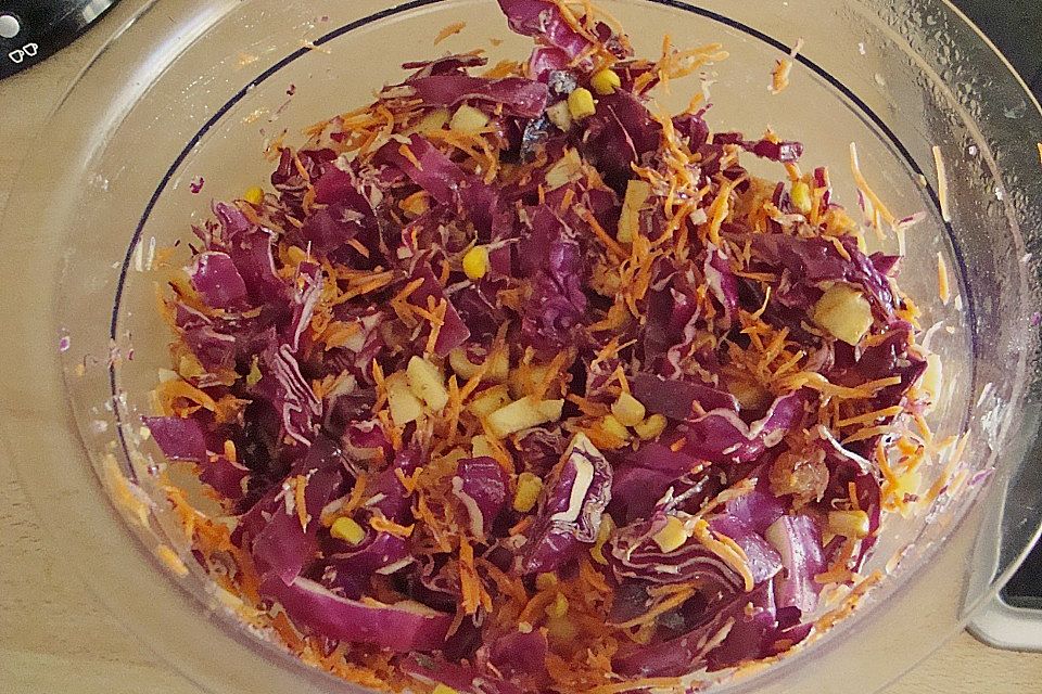 Fruchtiger Rotkohl - Möhren - Salat