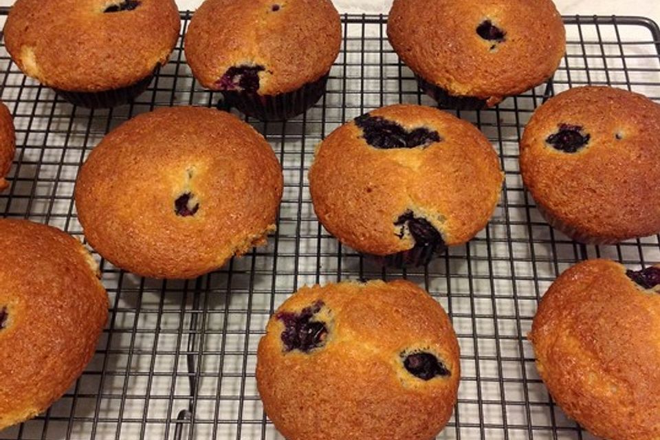 Blaubeer-Muffins