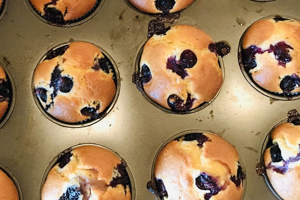 Blaubeer-Muffins