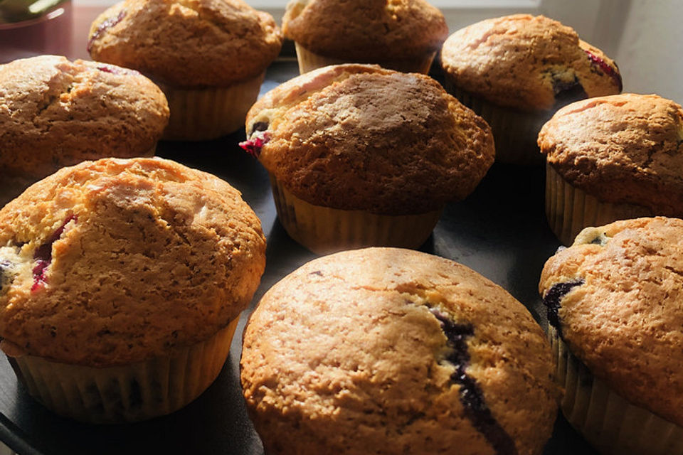 Blaubeer-Muffins