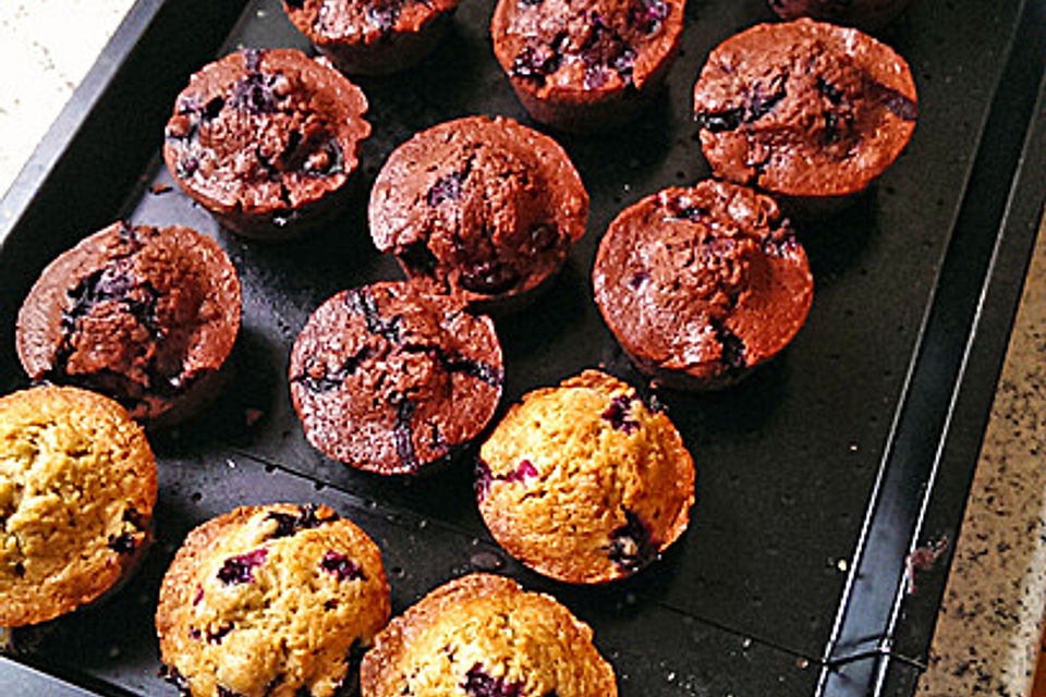 Blaubeer-Muffins