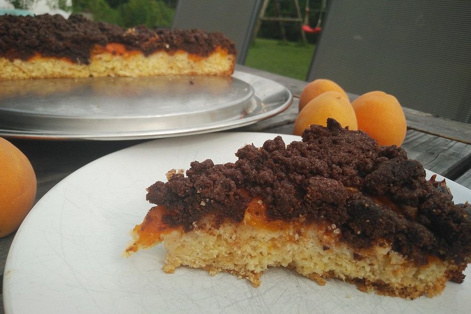 Marillenkuchen mit Schokostreuseln