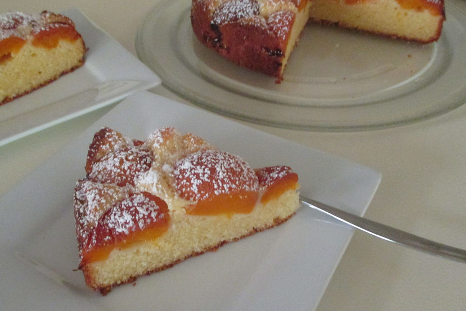 Aprikosenkuchen mit  Quark und Grieß