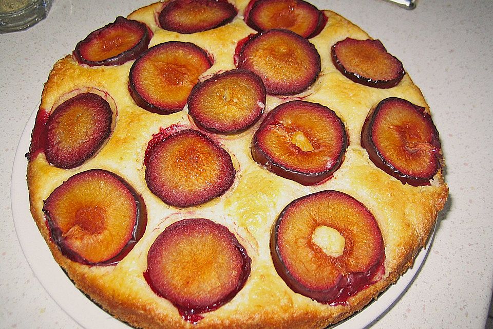 Aprikosenkuchen mit  Quark und Grieß