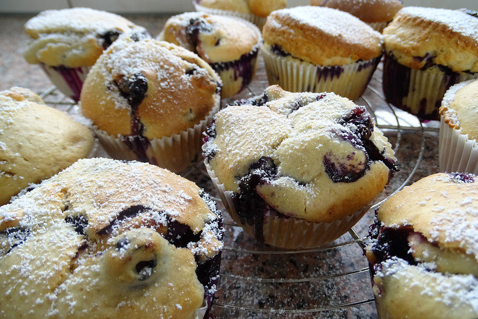 Blueberry - Zitronen - Muffins