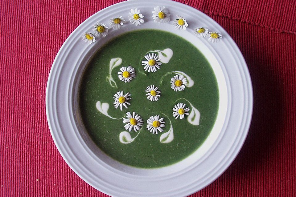 Brennnessel-Giersch Cremesuppe