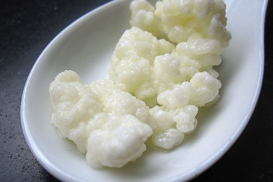 Milchkefir