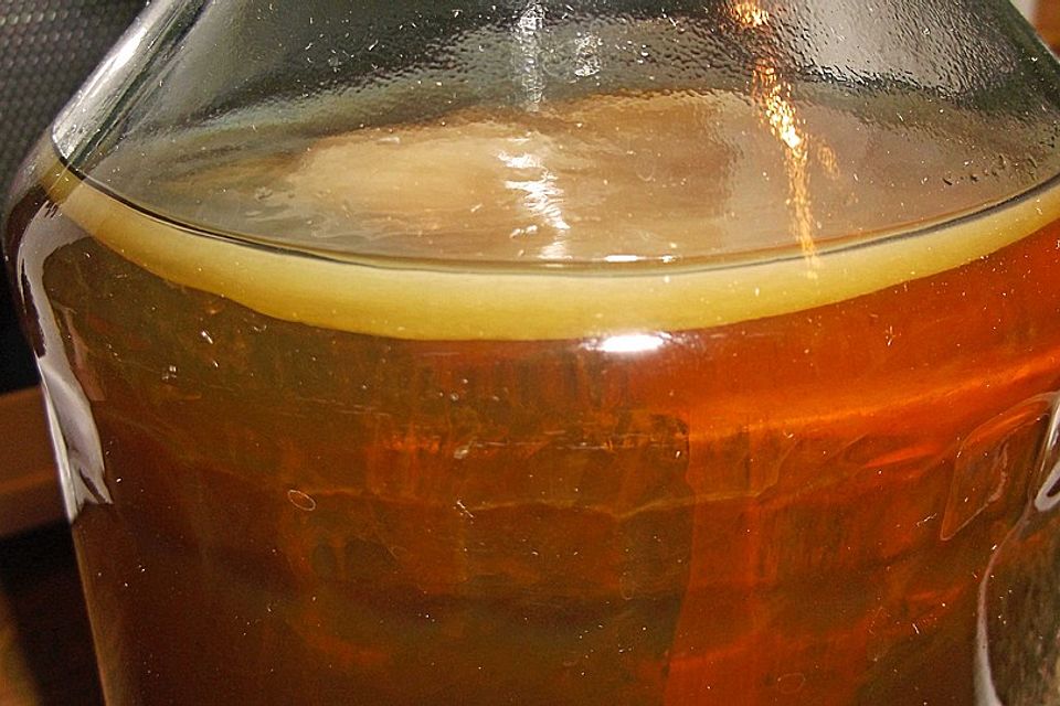 Kombucha