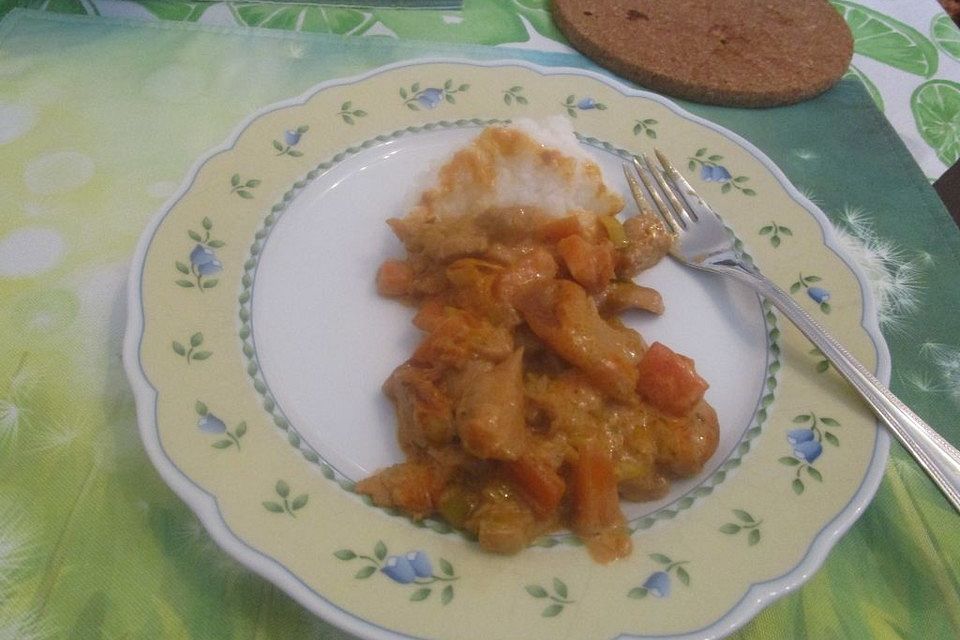 Möhren - Lauch - Curry