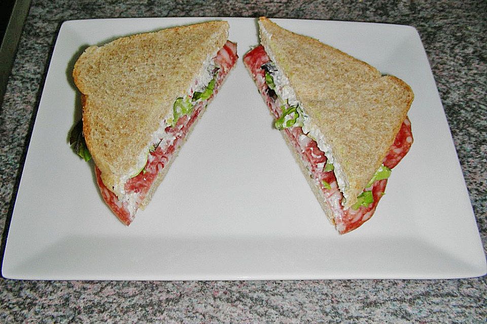 Salami Sandwich