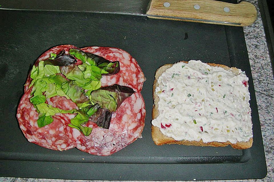 Salami Sandwich