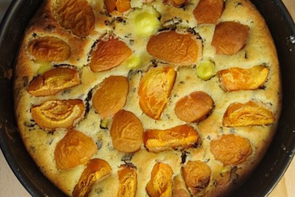 Ameisen-Marillenkuchen mit Puddingfüllung