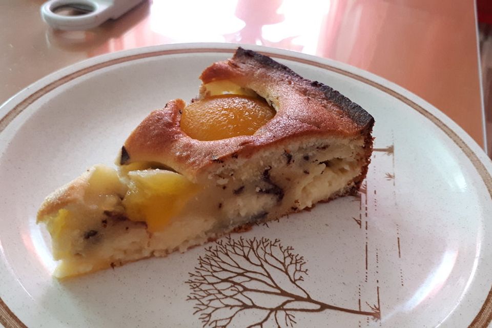 Ameisen-Marillenkuchen mit Puddingfüllung