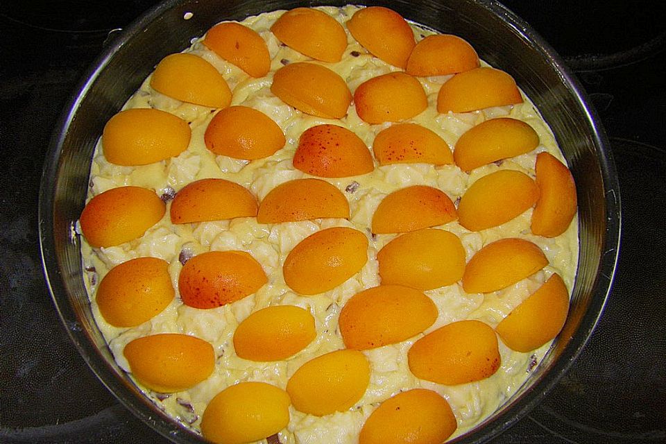 Ameisen-Marillenkuchen mit Puddingfüllung