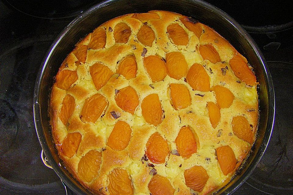 Ameisen-Marillenkuchen mit Puddingfüllung