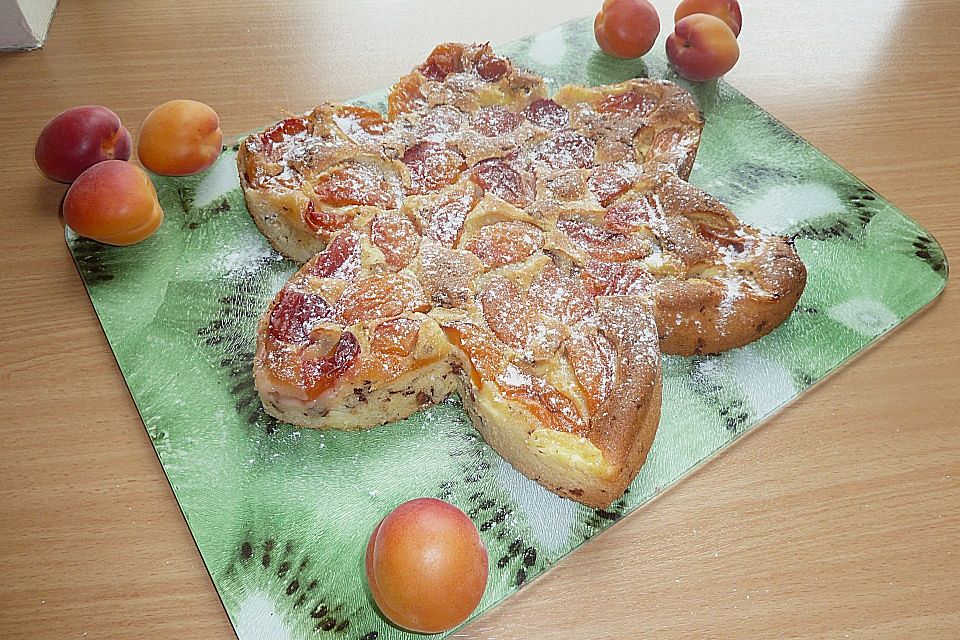 Ameisen-Marillenkuchen mit Puddingfüllung