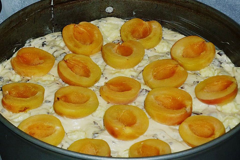 Ameisen-Marillenkuchen mit Puddingfüllung