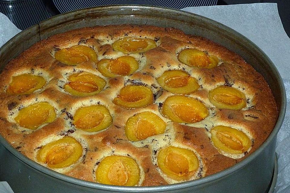 Ameisen-Marillenkuchen mit Puddingfüllung