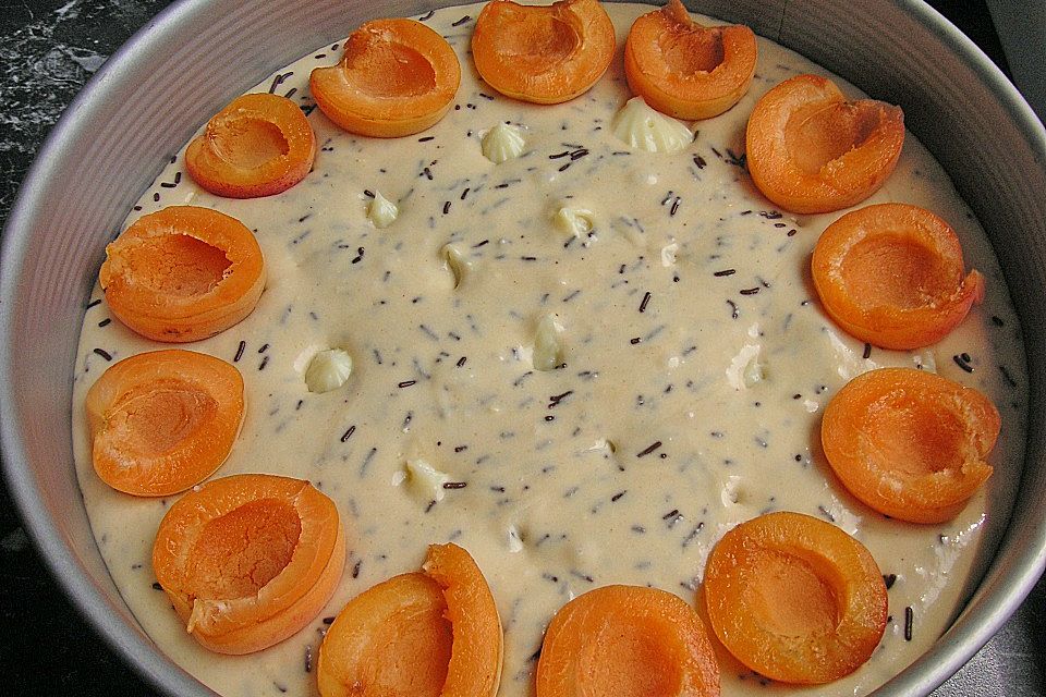 Ameisen-Marillenkuchen mit Puddingfüllung