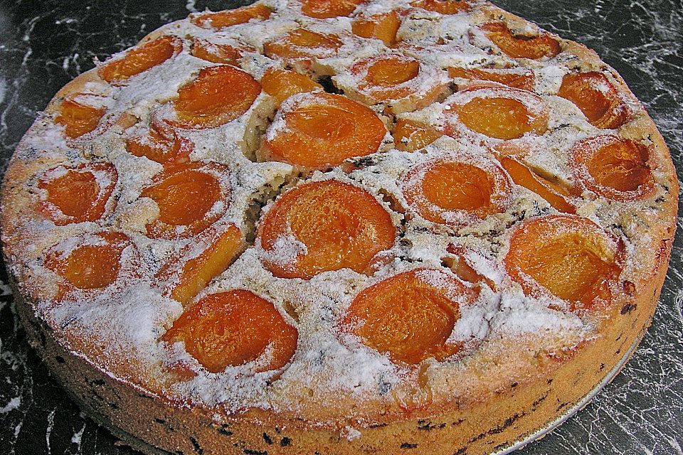 Ameisen-Marillenkuchen mit Puddingfüllung