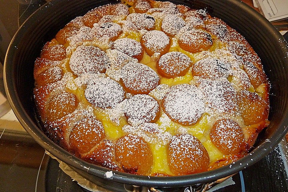 Ameisen-Marillenkuchen mit Puddingfüllung