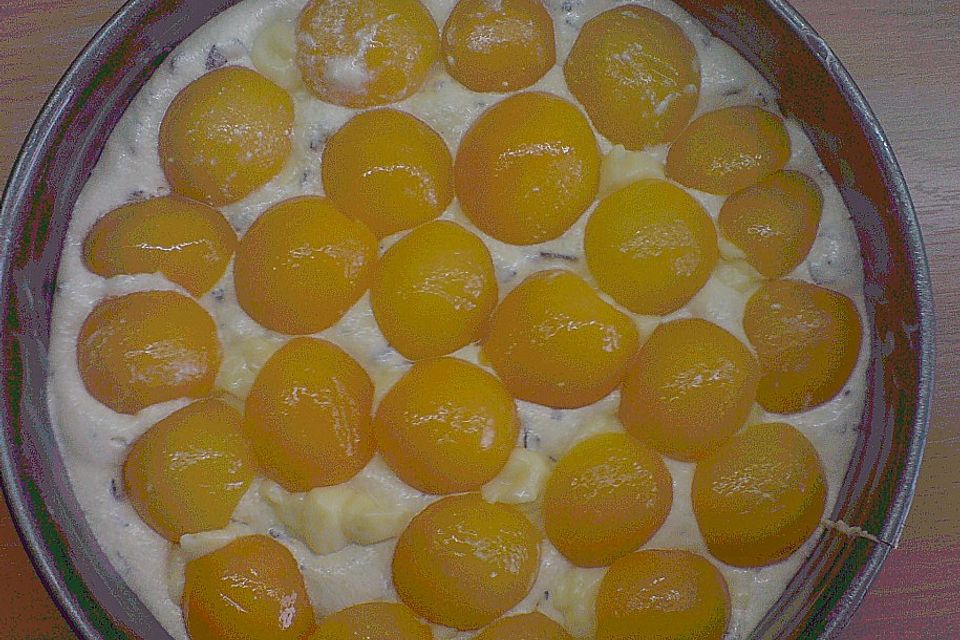 Ameisen-Marillenkuchen mit Puddingfüllung