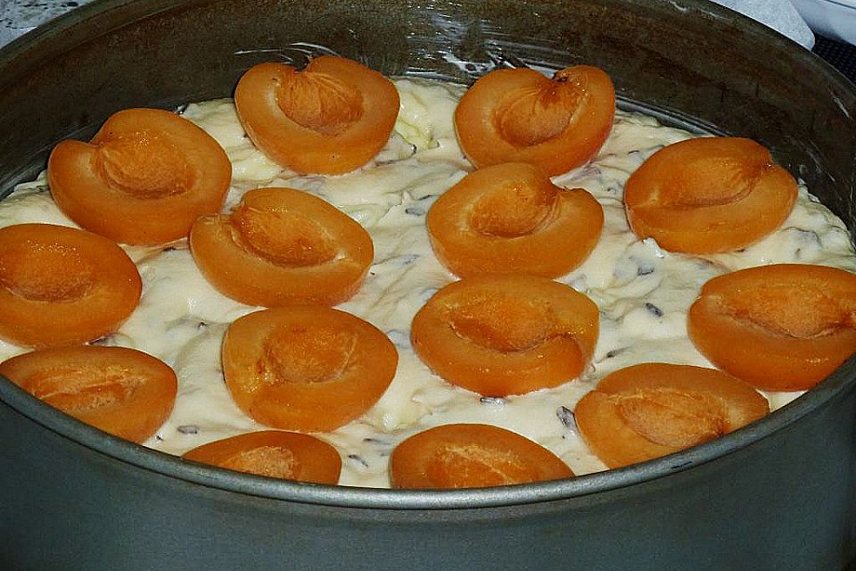 Ameisen-Marillenkuchen mit Puddingfüllung