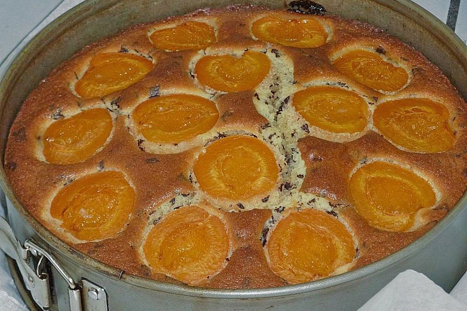 Ameisen-Marillenkuchen mit Puddingfüllung