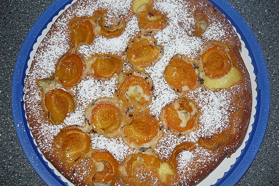 Ameisen-Marillenkuchen mit Puddingfüllung