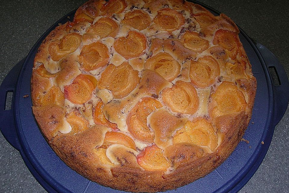 Ameisen-Marillenkuchen mit Puddingfüllung