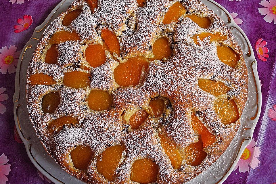 Ameisen-Marillenkuchen mit Puddingfüllung