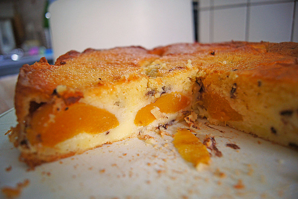 Ameisen-Marillenkuchen mit Puddingfüllung