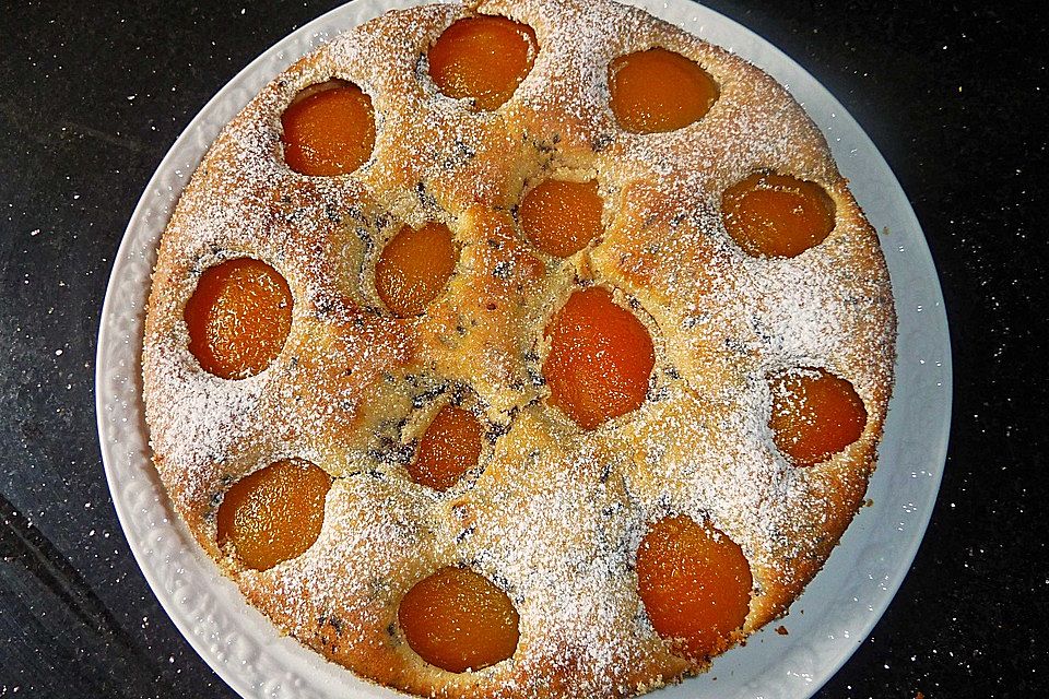 Ameisen-Marillenkuchen mit Puddingfüllung