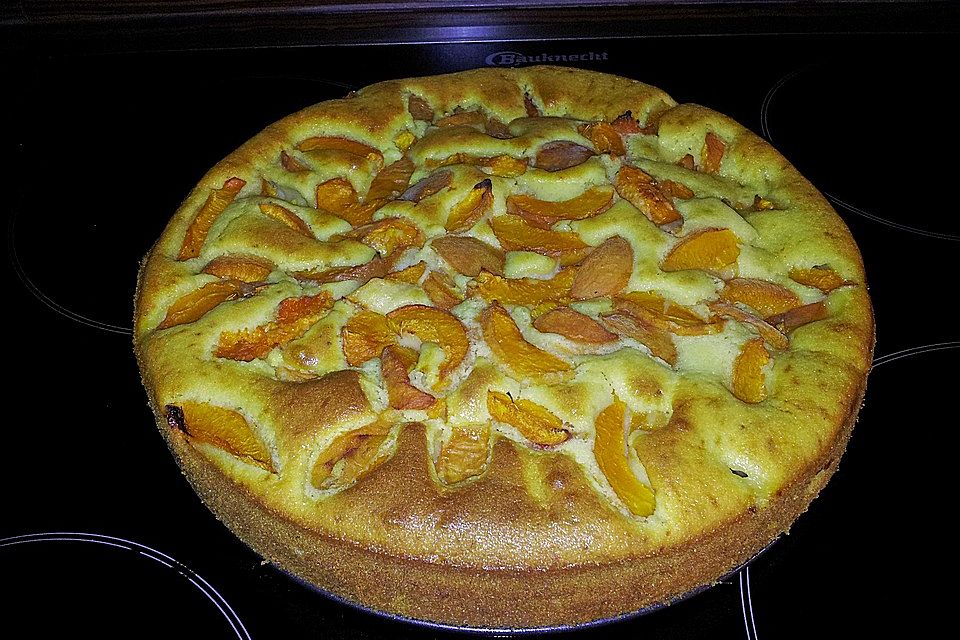 Ameisen-Marillenkuchen mit Puddingfüllung