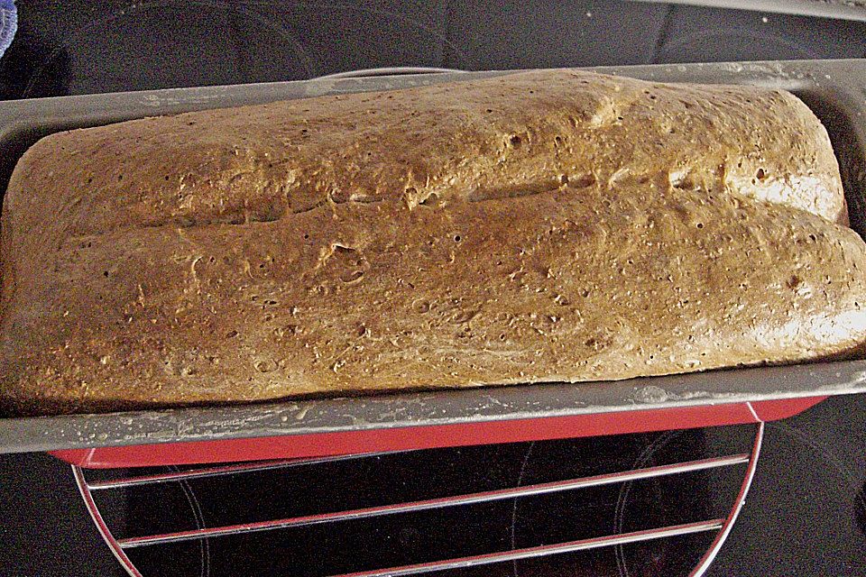 Sauerteig-Toastbrot