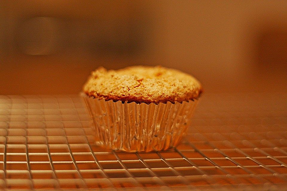 Schoko-Kokos Muffins