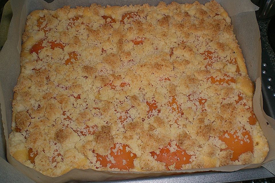 Marillenkuchen mit Kokosstreusel