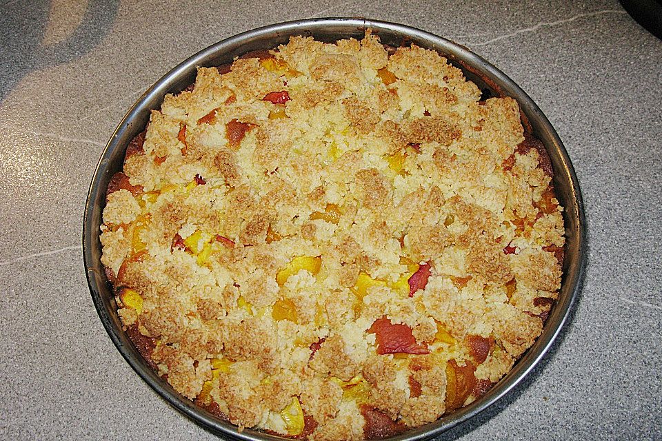 Marillenkuchen mit Kokosstreusel