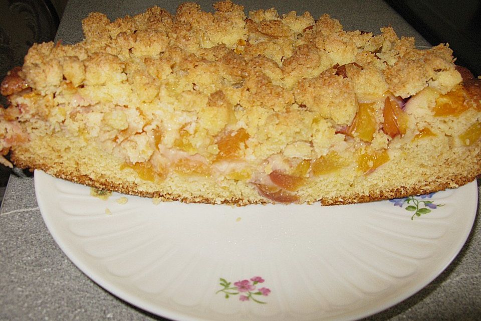 Marillenkuchen mit Kokosstreusel