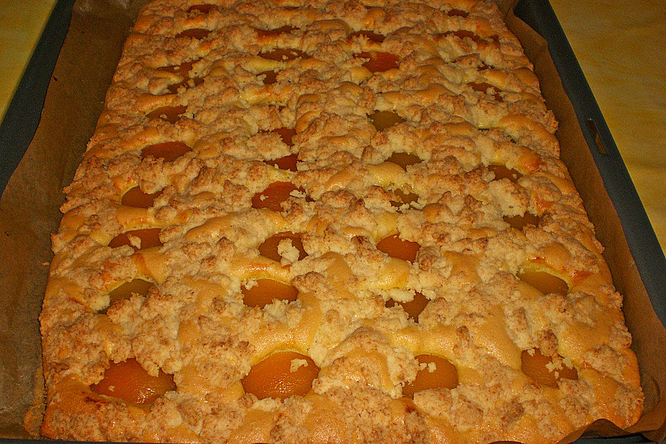 Marillenkuchen mit Kokosstreusel