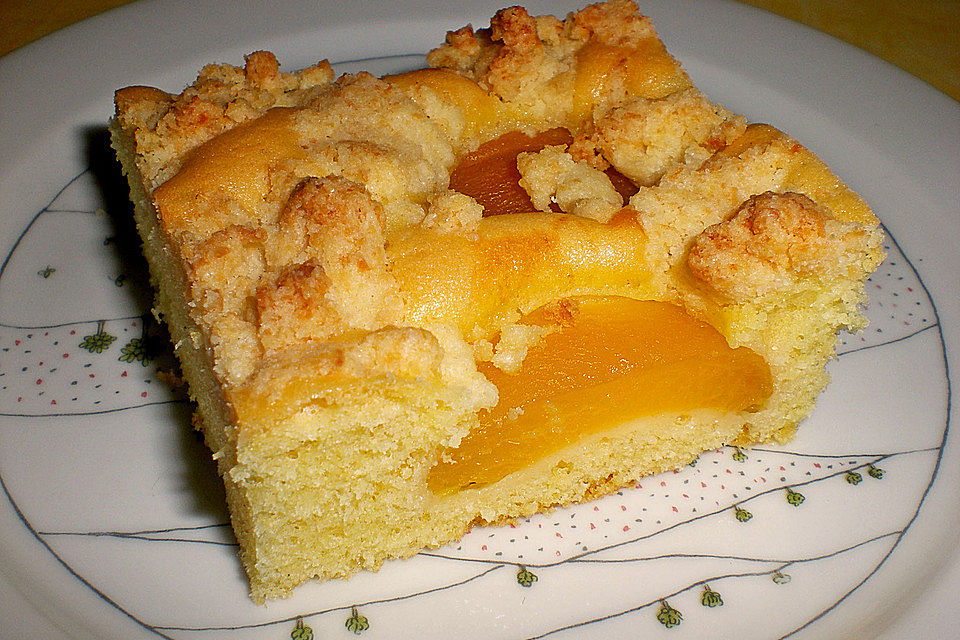 Marillenkuchen mit Kokosstreusel