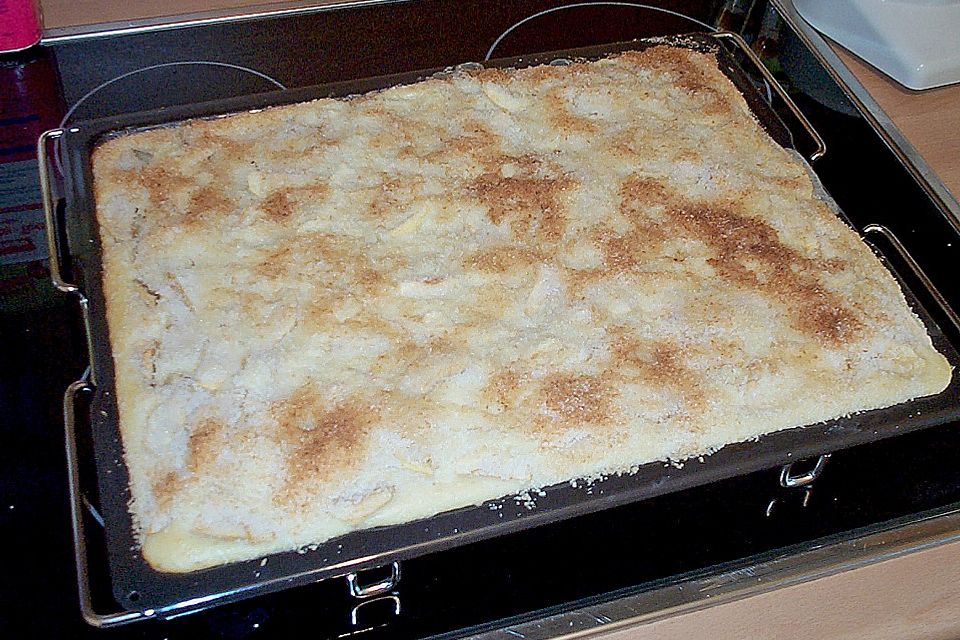 Buttermilchkuchen mit Kokosflocken