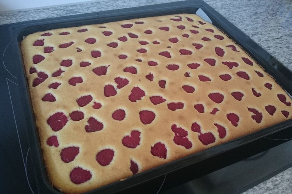 Himbeerkuchen auf dem Blech