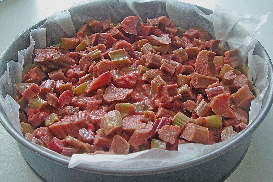 Strawberry Rhubarb Crumb Pie