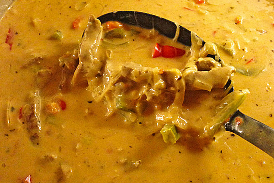 Pikante Gyrossuppe