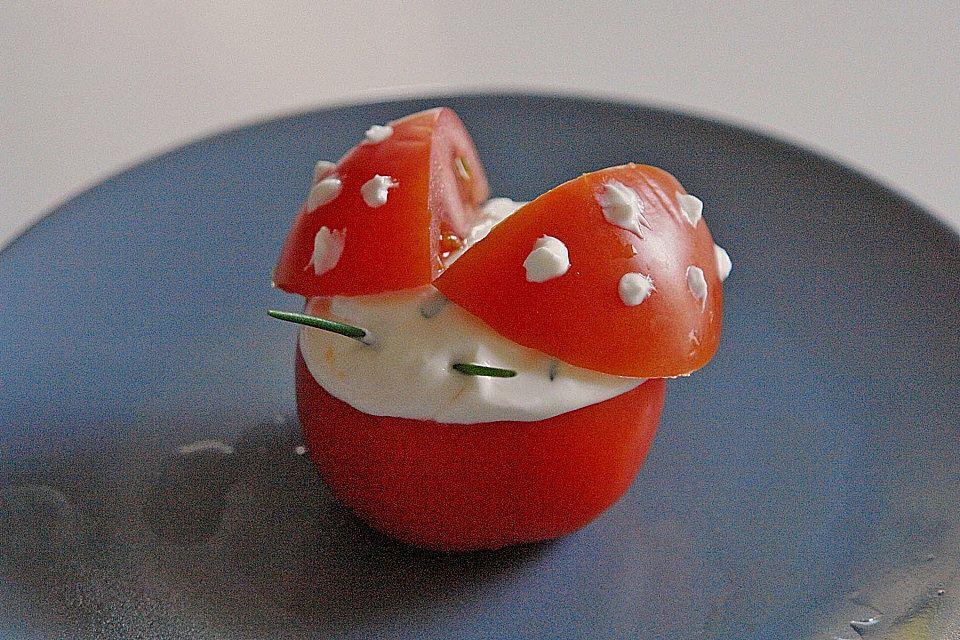 Tomaten-Marienkäfer