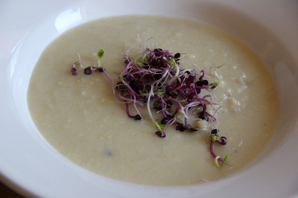 Schlesische Hanfsuppe Siemieniotka