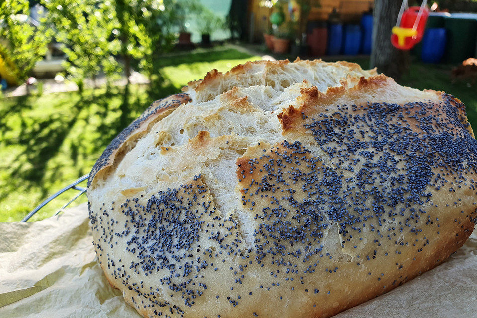 Dänisches Weißbrot mit Mohn